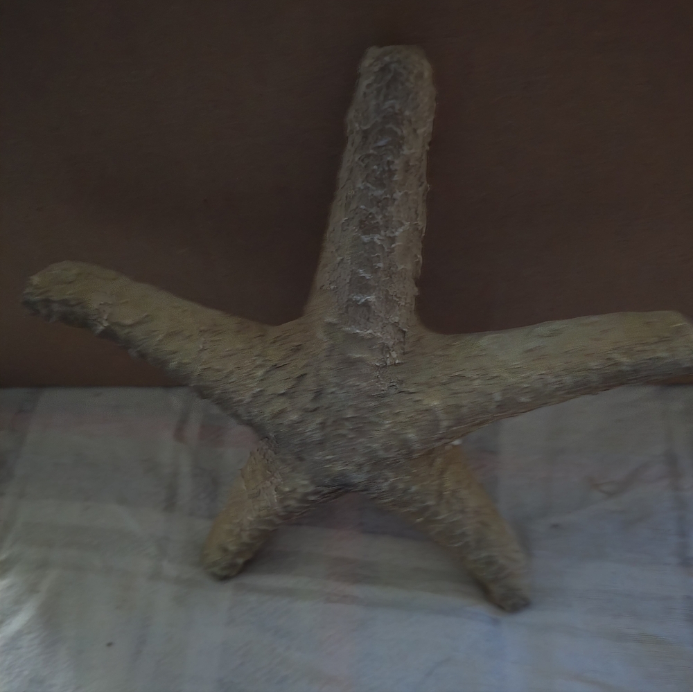 At Home Star Fish Decor, Good Condition - Picture 2 of 3
